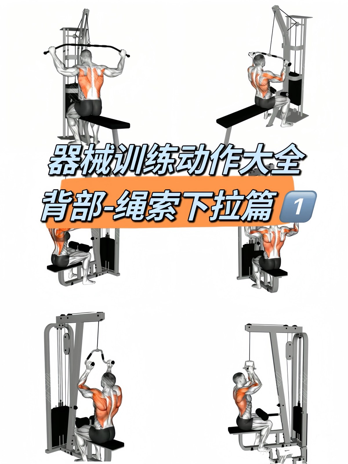篮球力量的一周训练计划_0